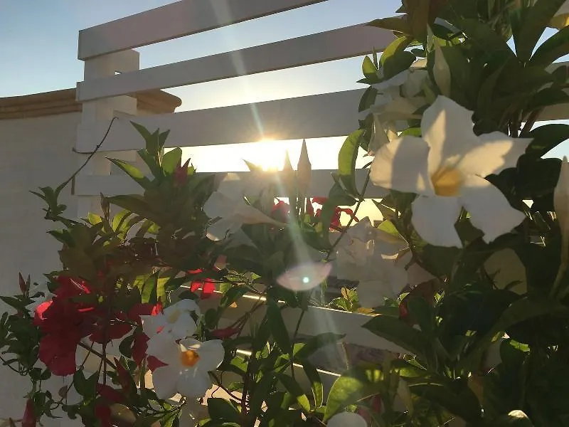 Bed & Breakfast Olivella B&B Sciacca